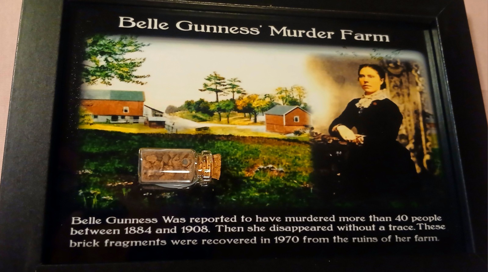 Belle Gunness Murder Farm Brick Fragments Haunted Object House Item Relic w/COA
