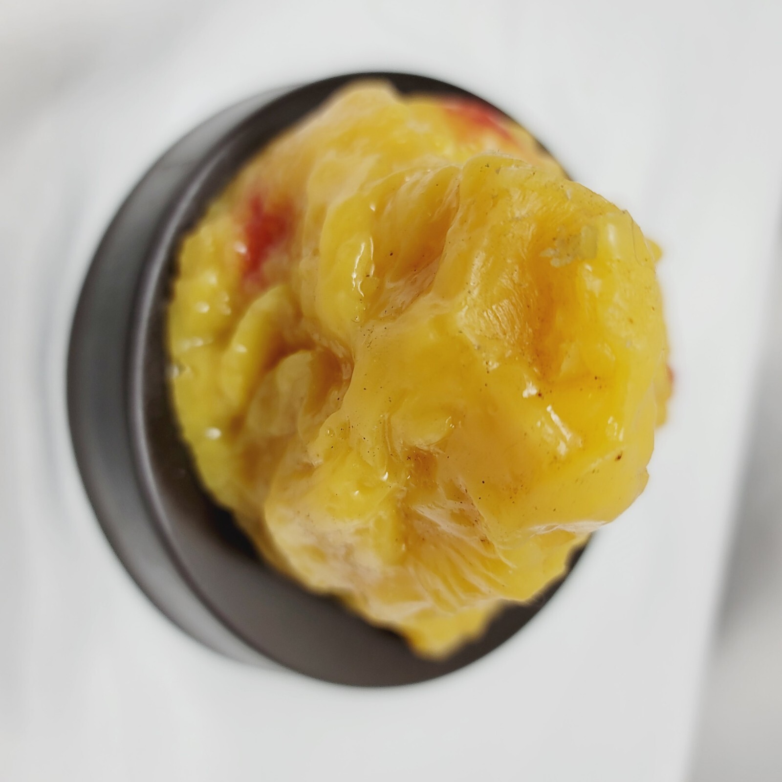 Vintage Human Adipose Tissue Replica Model Of 1lb Of Fat