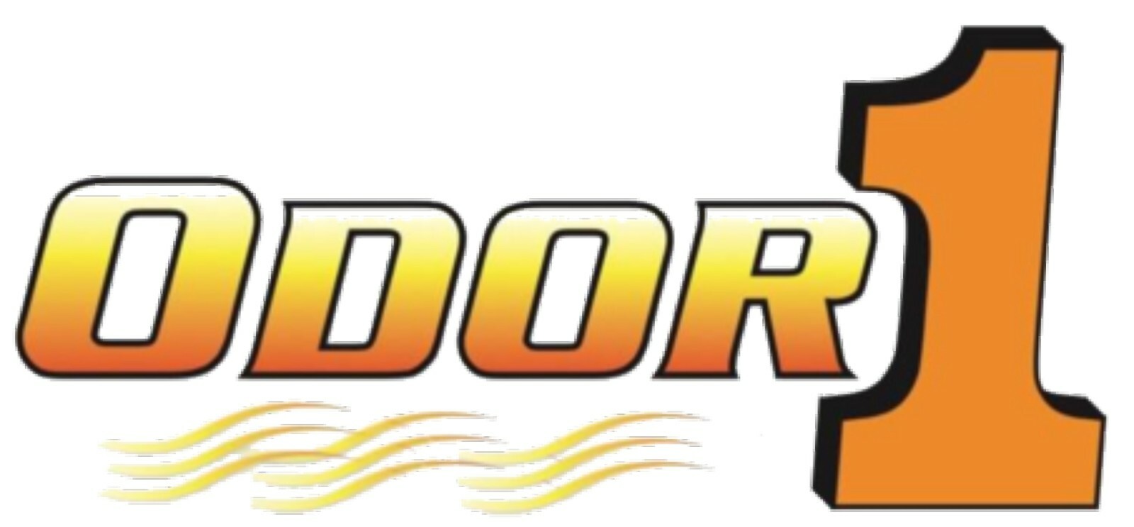 SR10 Carpet Shampooer