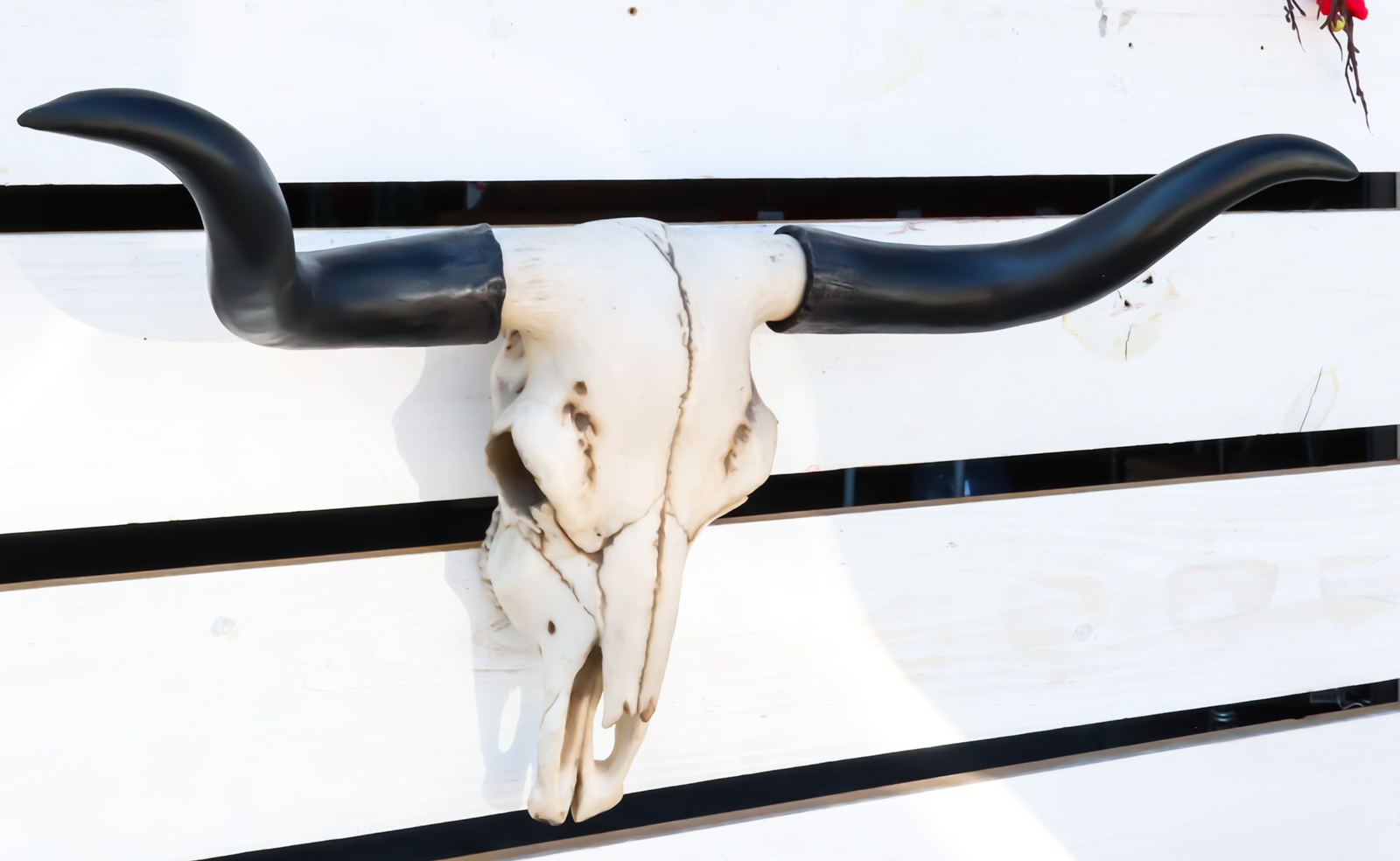 Ebros Large 27"Wide Longhorn Steer Cow Skull Wall Head Hanging Sculpture Plaque