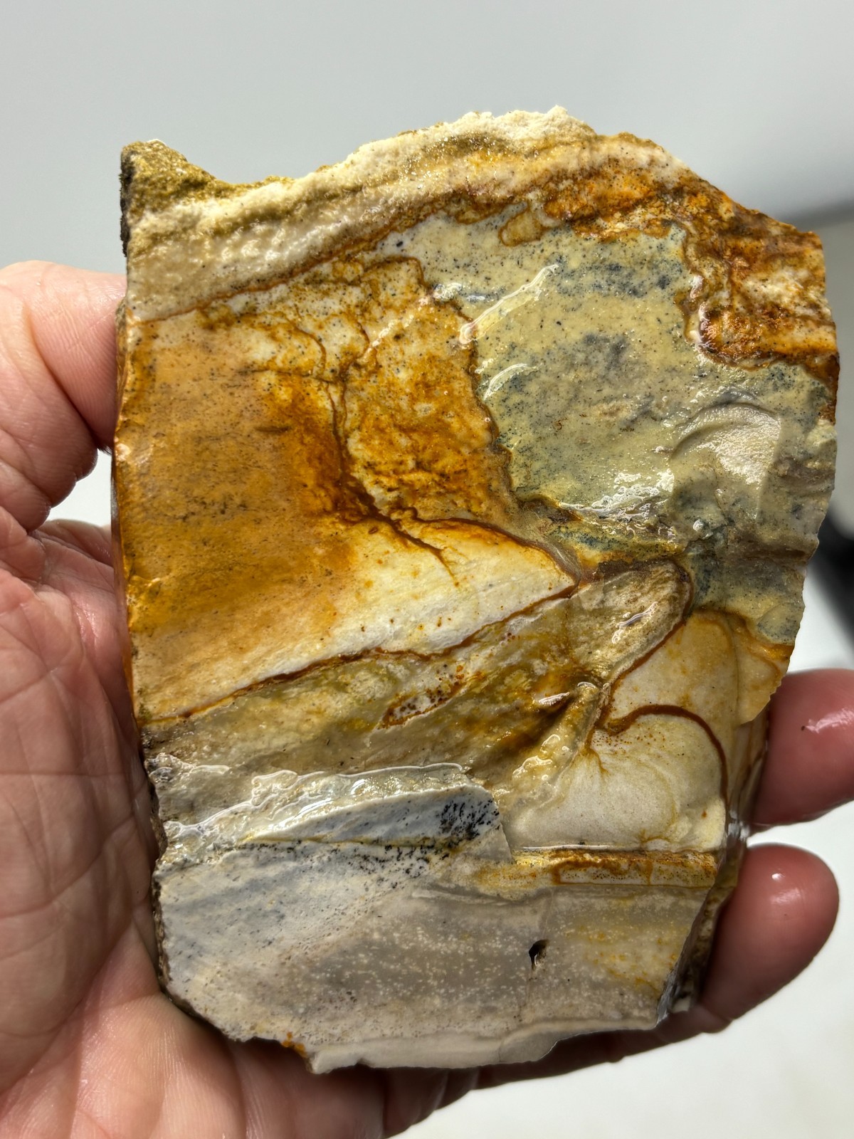 Disaster Peak Picture Jasper end slab Cabbing Lapidary Collecting Combo Ship Avl