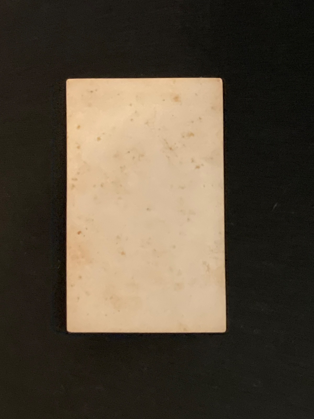 250th U.S.A. Anniversary CDV Union General George A. McCall