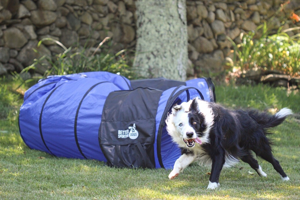 Better Sporting Dogs 10 Foot Dog Agility Tunnel with Sandbags | Dog Agility