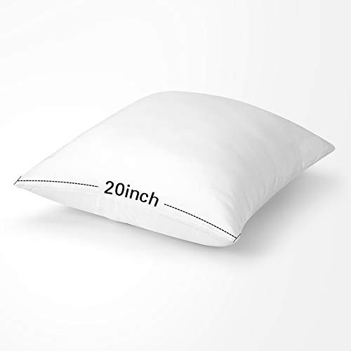 Outdoor Throw Pillow Inserts - Pack of 2 Water 20x20 Inch (Pack of 2) 2 Pack
