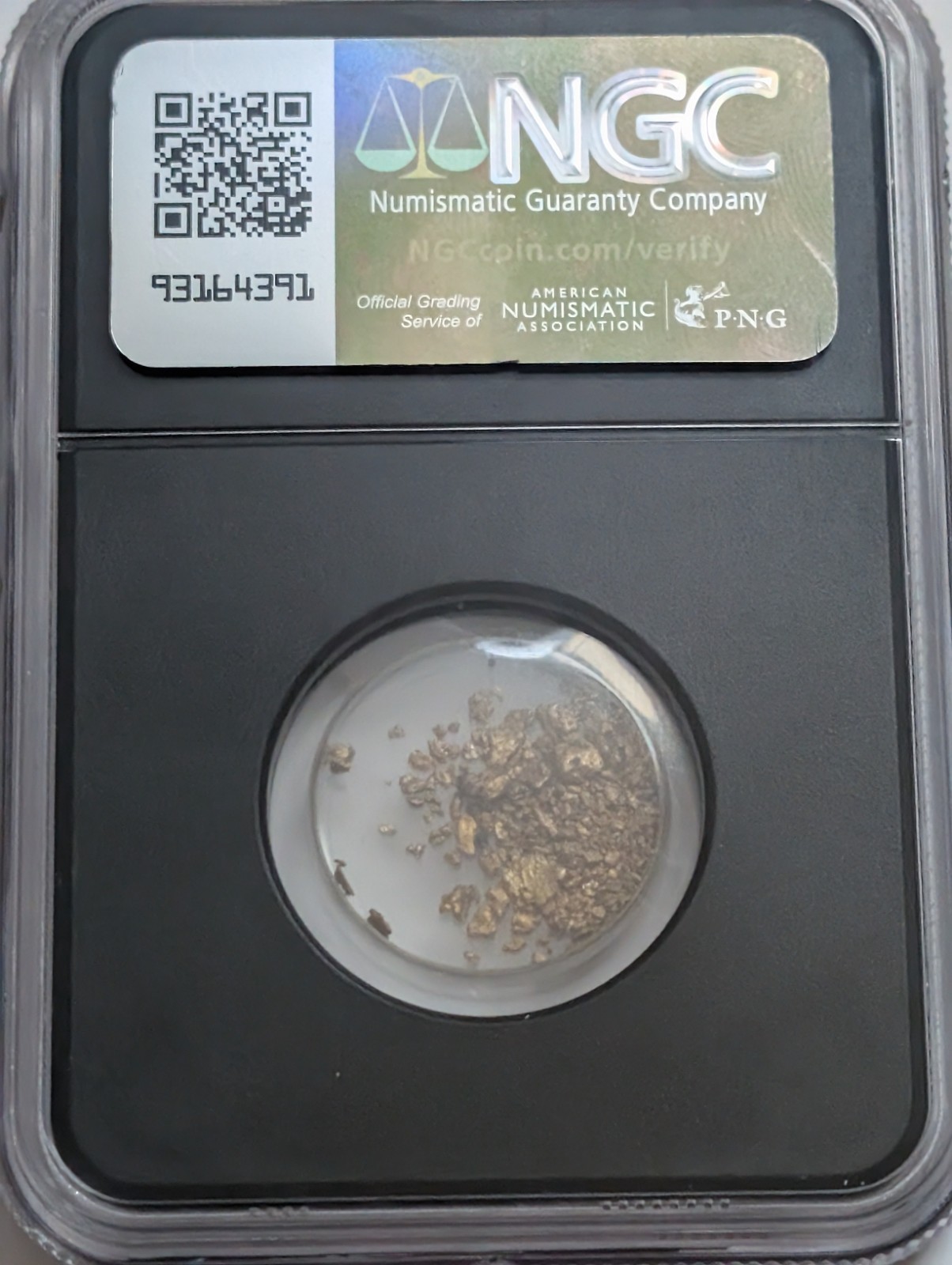 VaultBox SS Central America Gold Dust .880 Fine Gold 1.20g Encapsulated NGC
