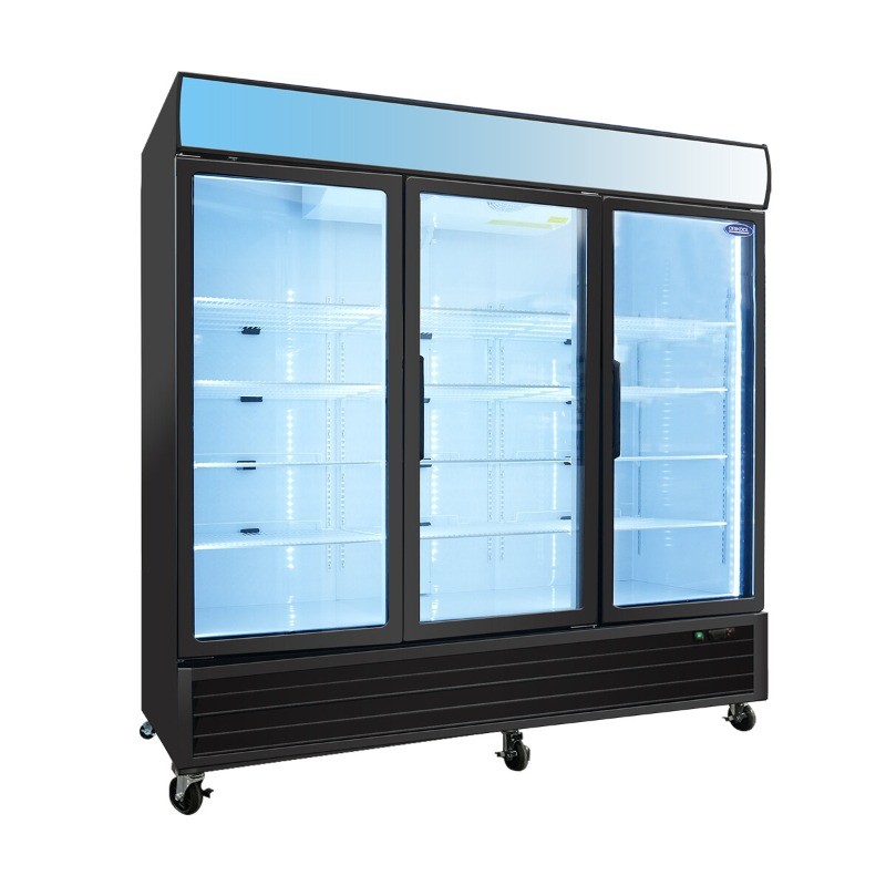 Commercial Glass Door Freezer Reach in Display Merchandiser Restaurant 70 Cu.ft
