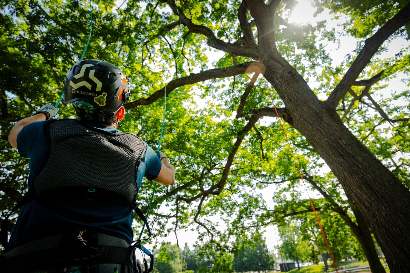 Notch Chester DLX Multi-Functional SRS Chest Harness 99714