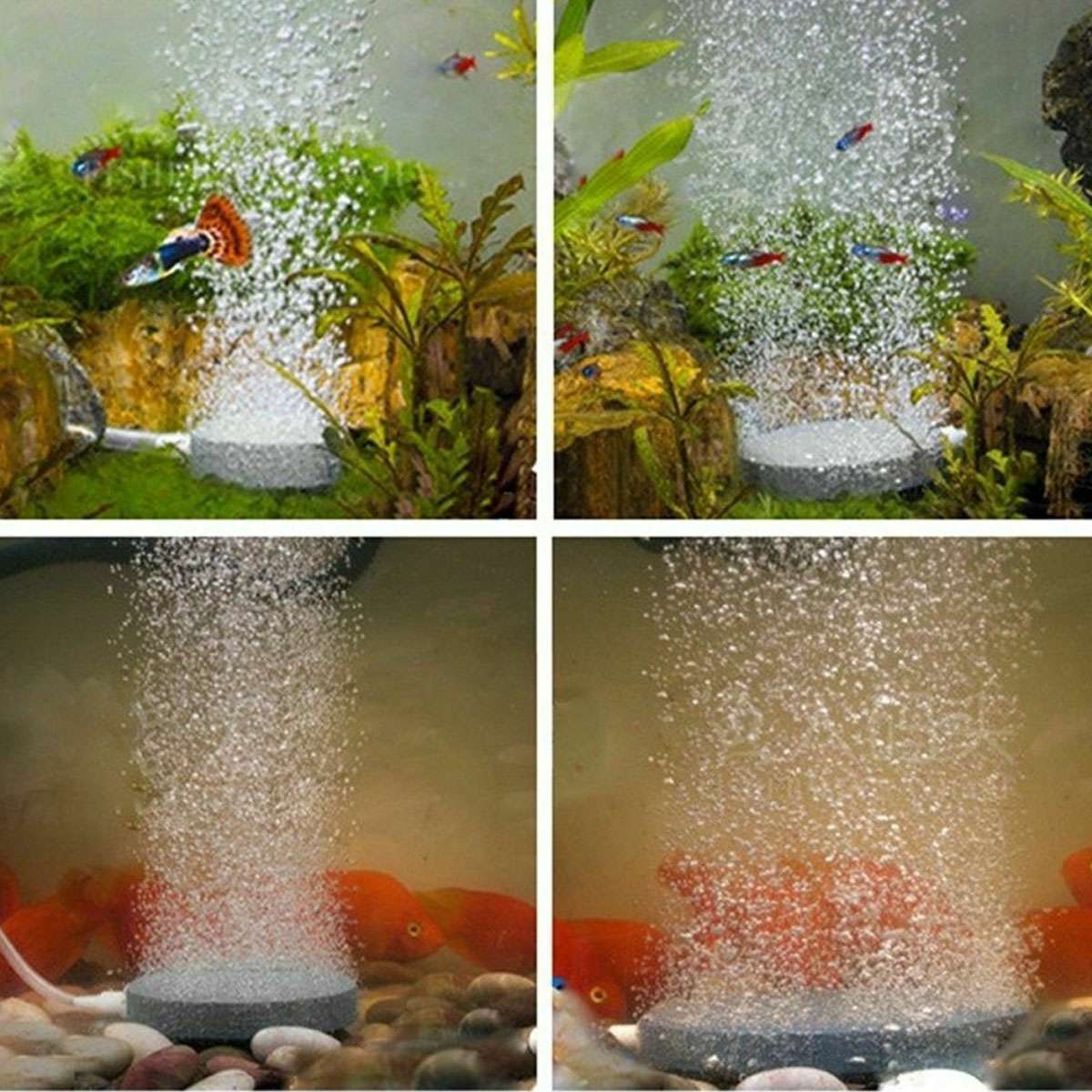 Air Bubble Disk Stone Aquarium Aerator Fish Tank Pump Hydroponics Oxygen 107mm