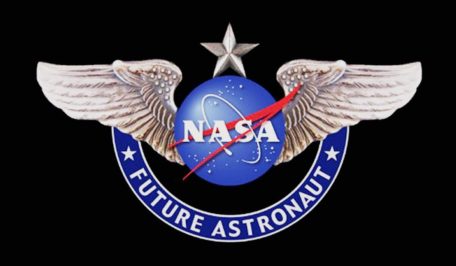 FUTURE ASTRONAUT WINGS -FLOWN METAL-NASA-SCOTT KELLEY SHUTTLE ISS Silver PIN