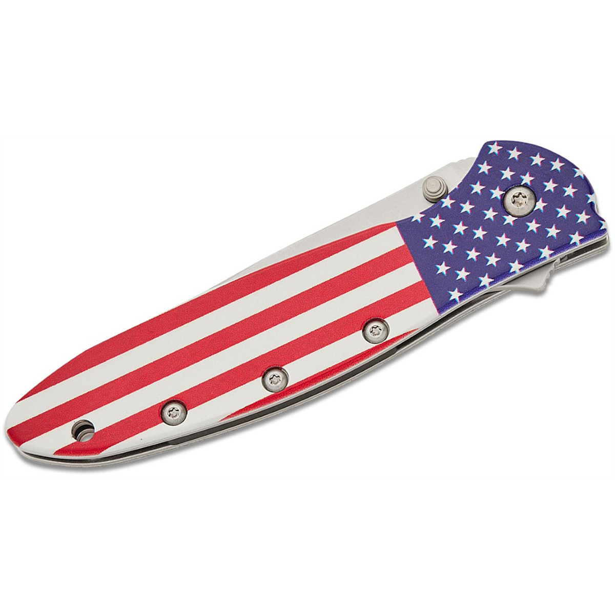 Kershaw Leek Assisted Open Liner Lock Drop Point Blade EDC Folding Pocket Knife