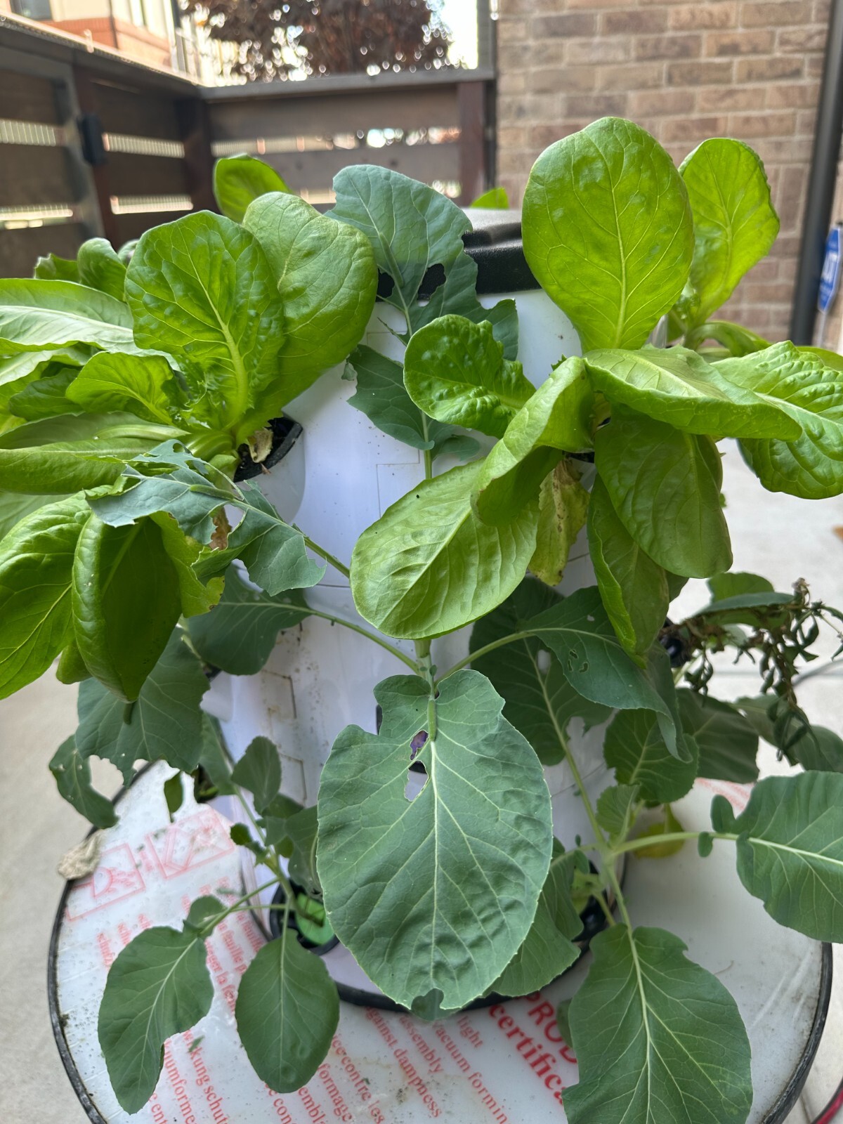 hydroponic vertical tower growing system-2025