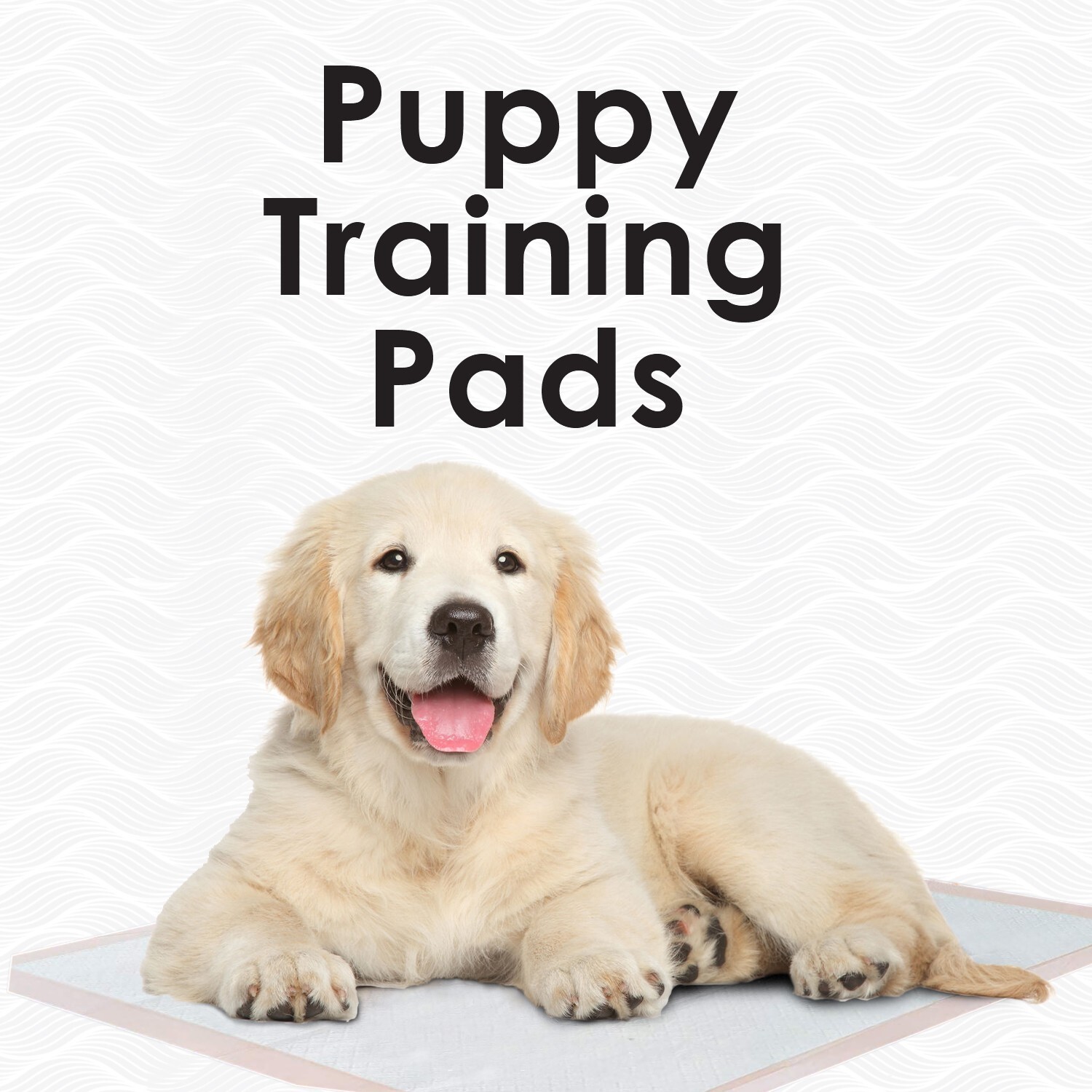 200 30x36 PUPPY PET HOUSEBREAKING WEE WEE TRAINING PADS DISPOSABLE UNDERPADS