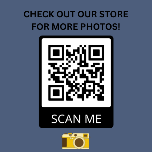 CONFEDERATE SOLDIERS PRISONERS OF BATTLE OF GETTYSBURG 4X6 COLORIZED PHOTO