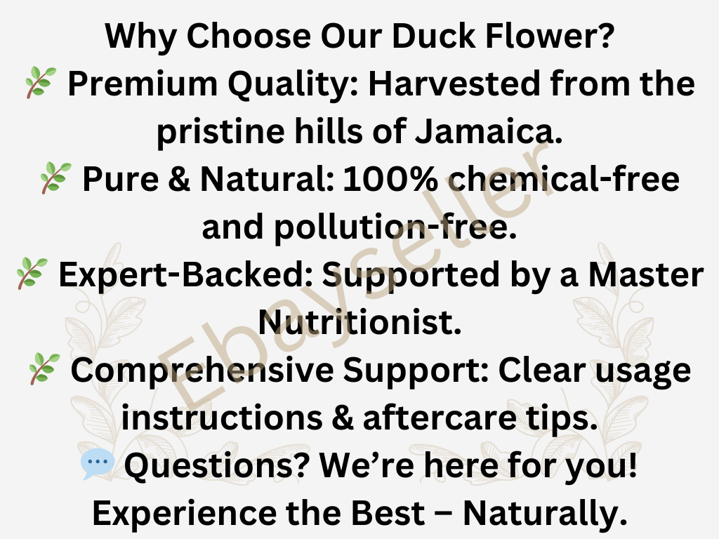 1 duck flower, Duck Flower Detox,Jamaica, Wildcrafted (for adults only)