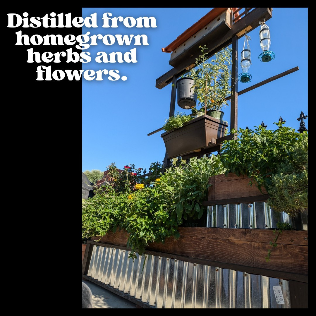 Bar Soap, Pig Tallow, Unscented, Sudsy, Handcrafted, All Natural, 5-6 oz