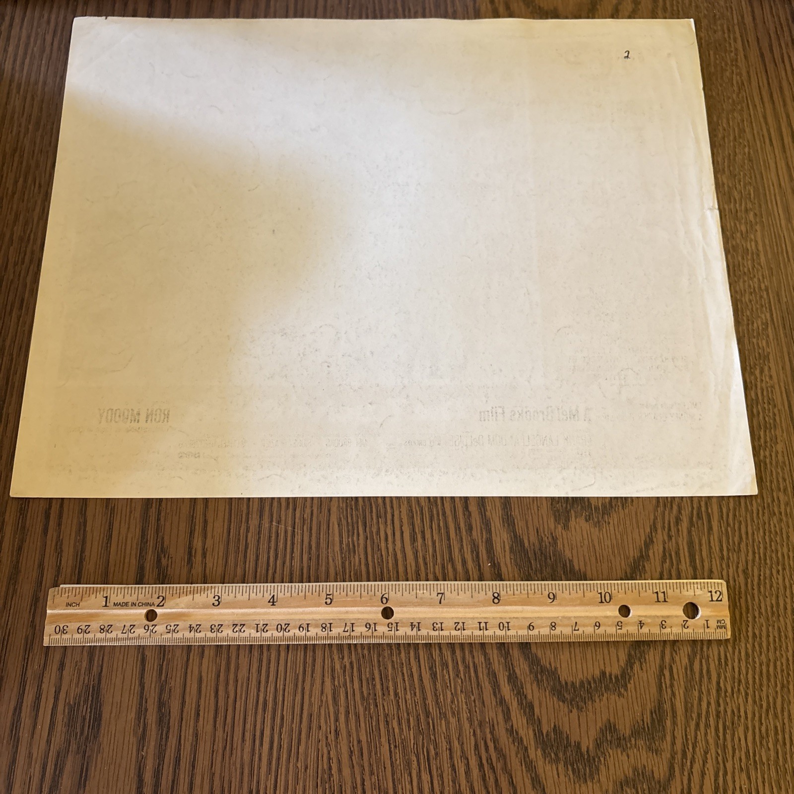 Vintage The Twelve Movie Lobby Card - Rare Mel Brooks Ron Moody Dom DeLuise