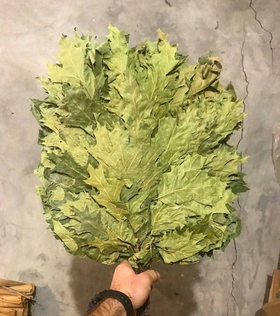 10 Oak whisks, banya brooms, whisks, venik, Birkenreisige, Venik, sauna