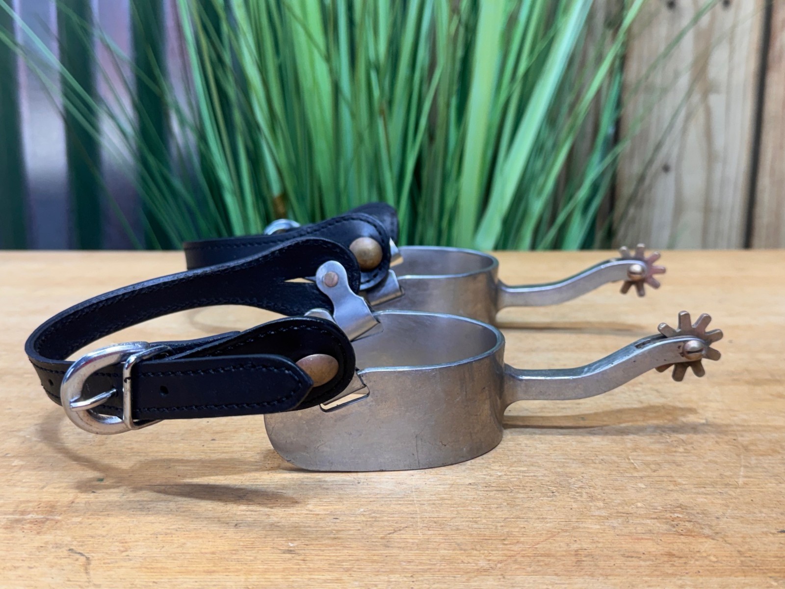 Long Shank Stainless Steel Western EQUITATION Spurs w Black Leather Straps