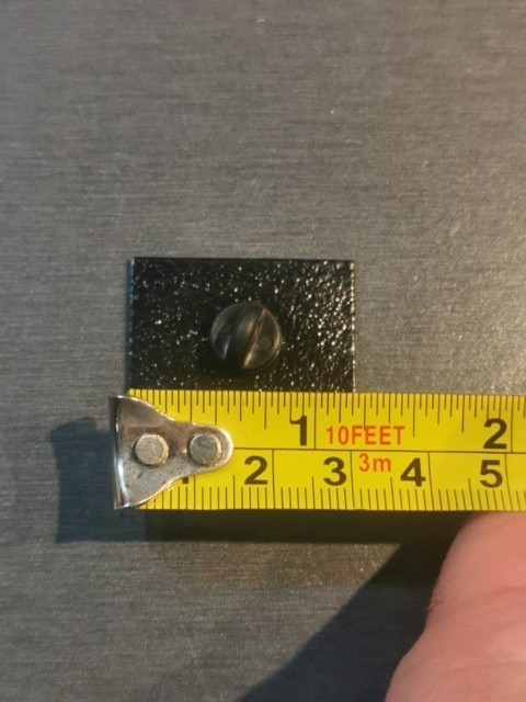 CAPYBARA FUNNY Pin Badge Patch New High Quality