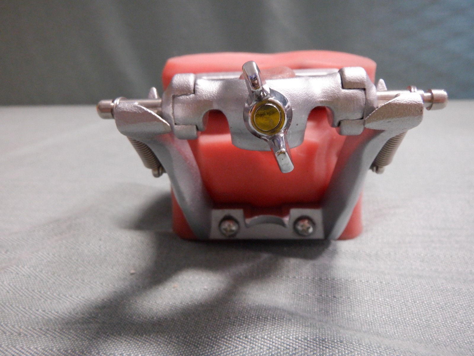 Nissin Typodont Dental Teeth