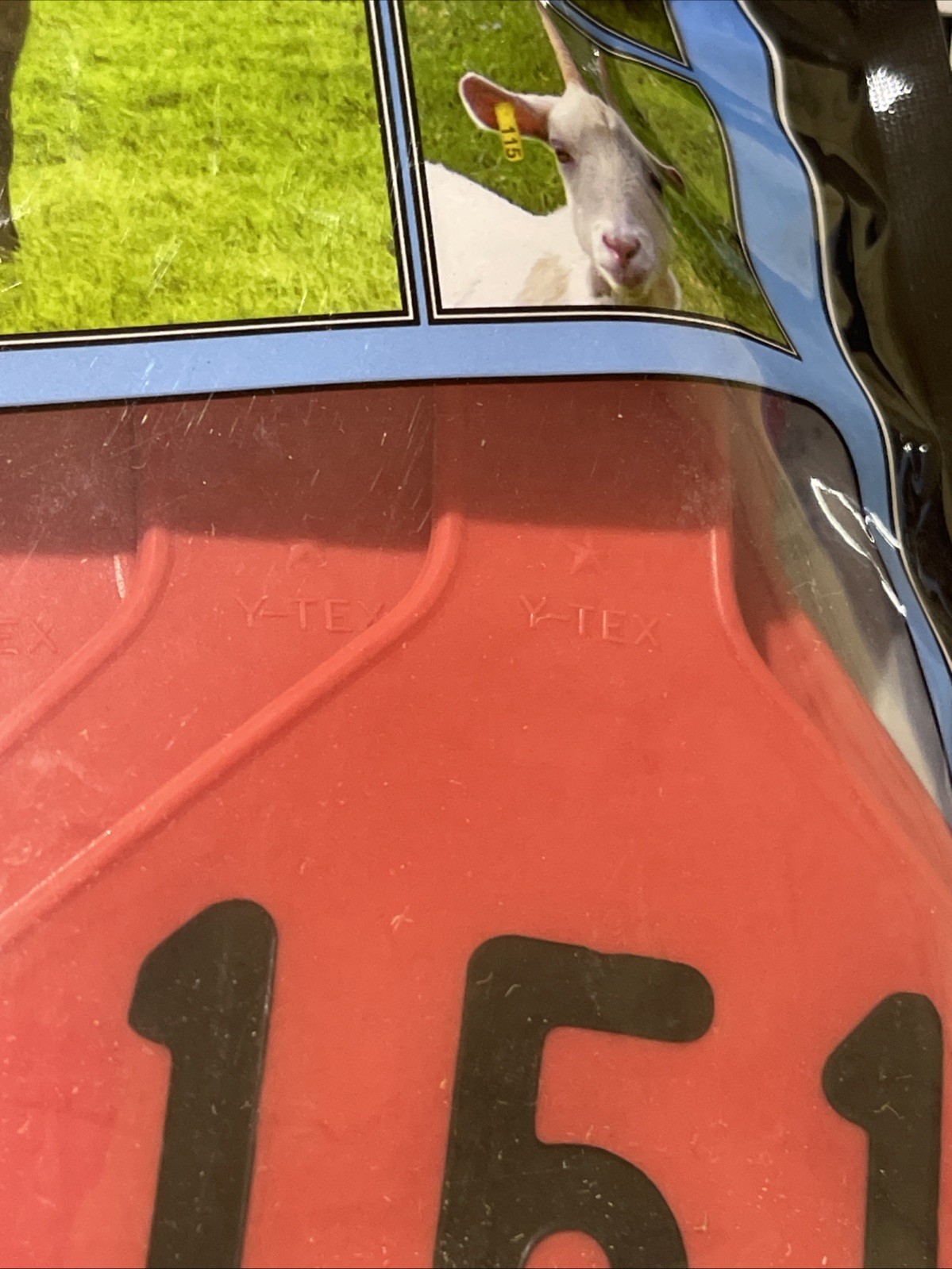 Y-Tex 4 Star Large Cattle Tags 25 Pack, 2 Piece Ear Tag System, Red AA, 151-175