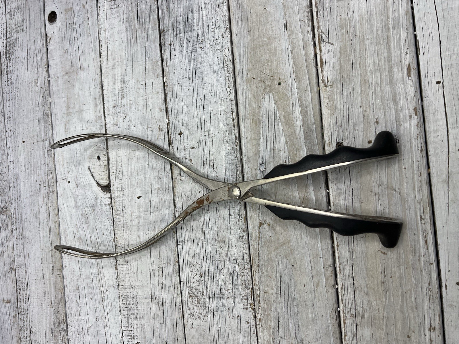 AS-IS Rusty Obstetrical Forceps Medical Birth Birthing Device Oddity Oddities
