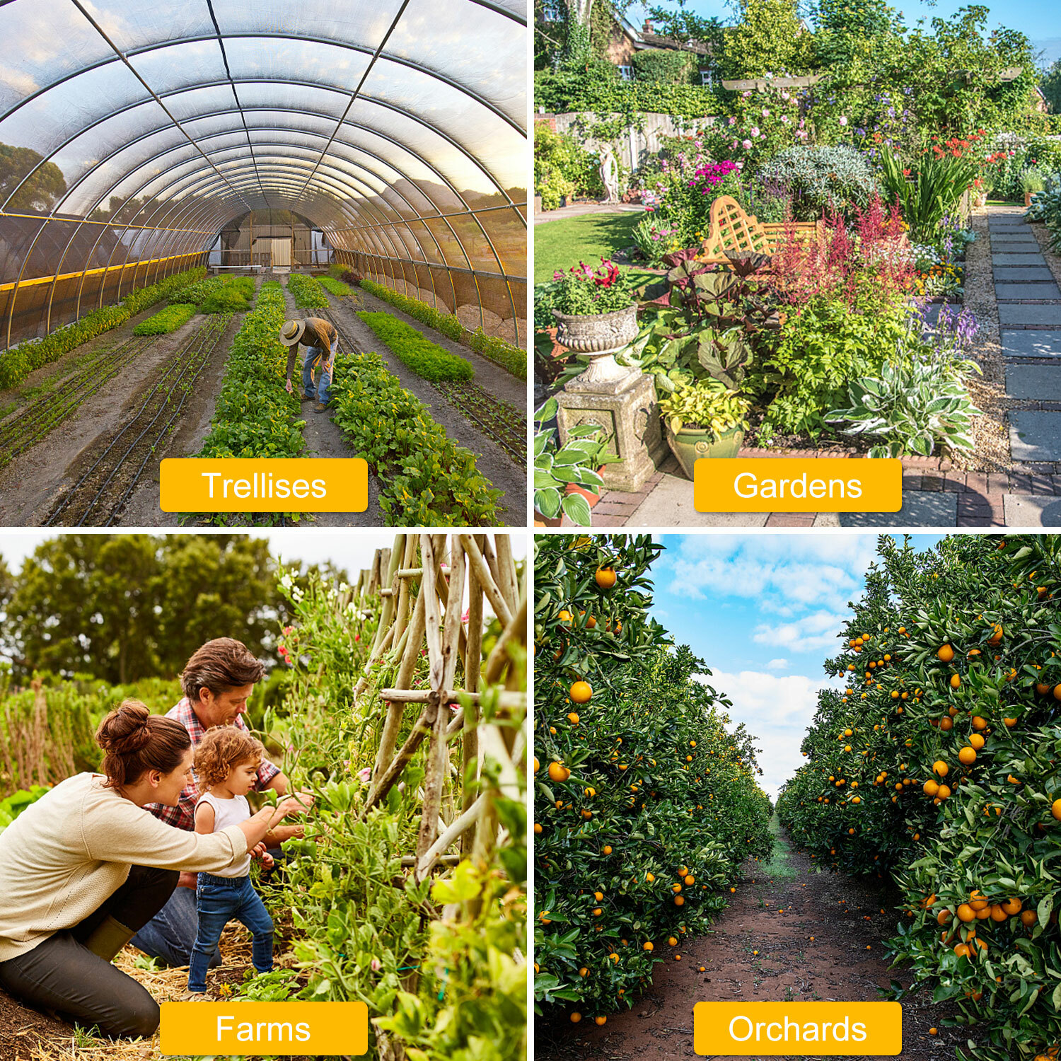 60 PCS Sticky Fly Traps- Gnat&Insect Catcher with Hanging Ropes|Strong Glue Trap