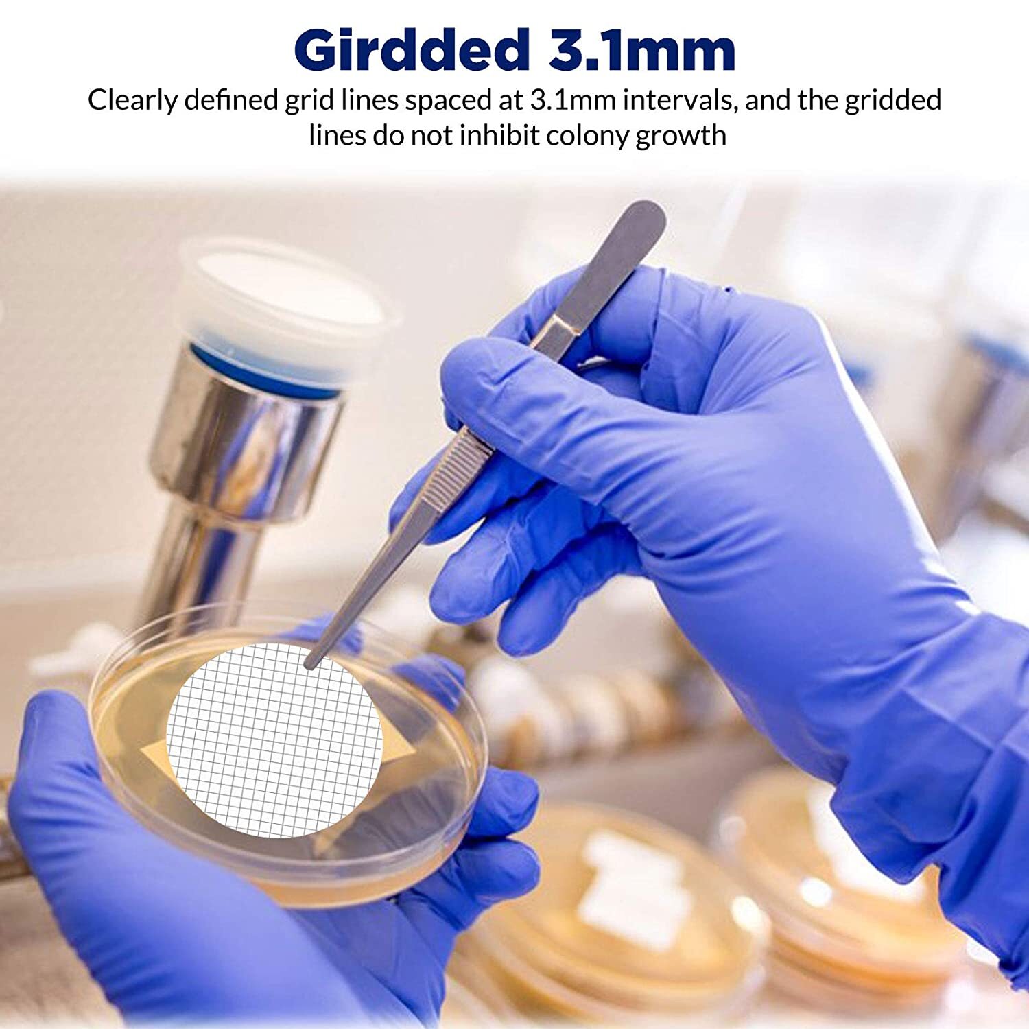 MCE Gridded Membrane Filters, 47mm Diameter, 0.22 um 0.45 μm Pore Size, STERILE
