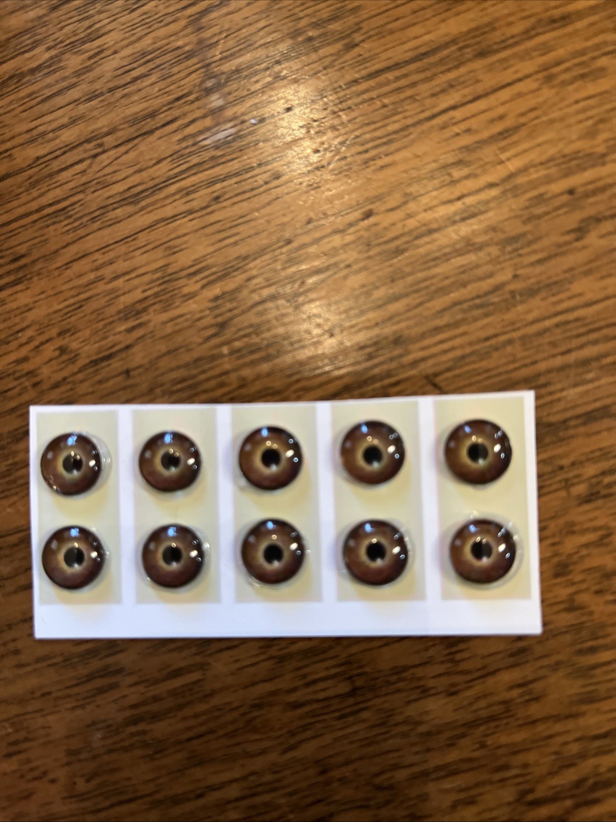 5 pair of New Concept Glass Eyes for Taxidermy and Decoy Making. Medium Brown