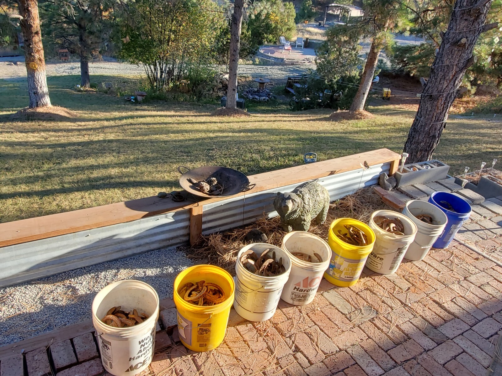 Box of 20 Used Steel Horseshoes from Montana patina included fast ship priority