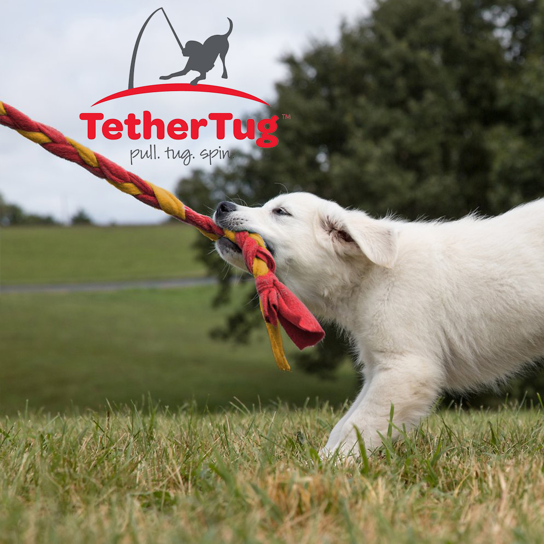 Tether Tug V2 Outdoor Dog Interactive Toy Tugging Pull Exercise 5-70 lbs and Up