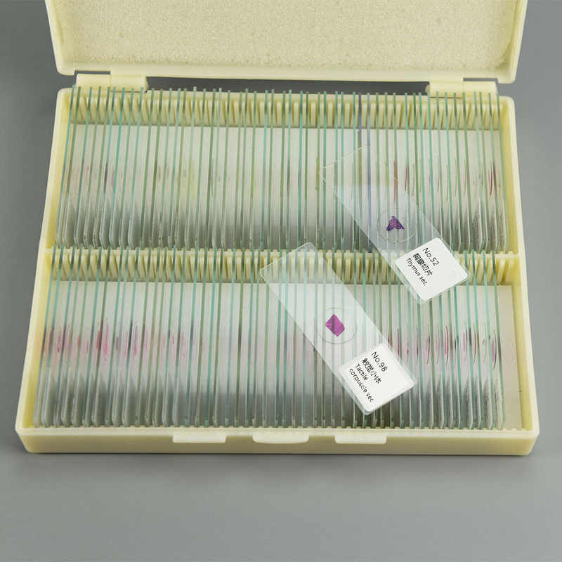 100PCS Mammal Tissue Sections Histology Prepared Specimen Microscope Slides