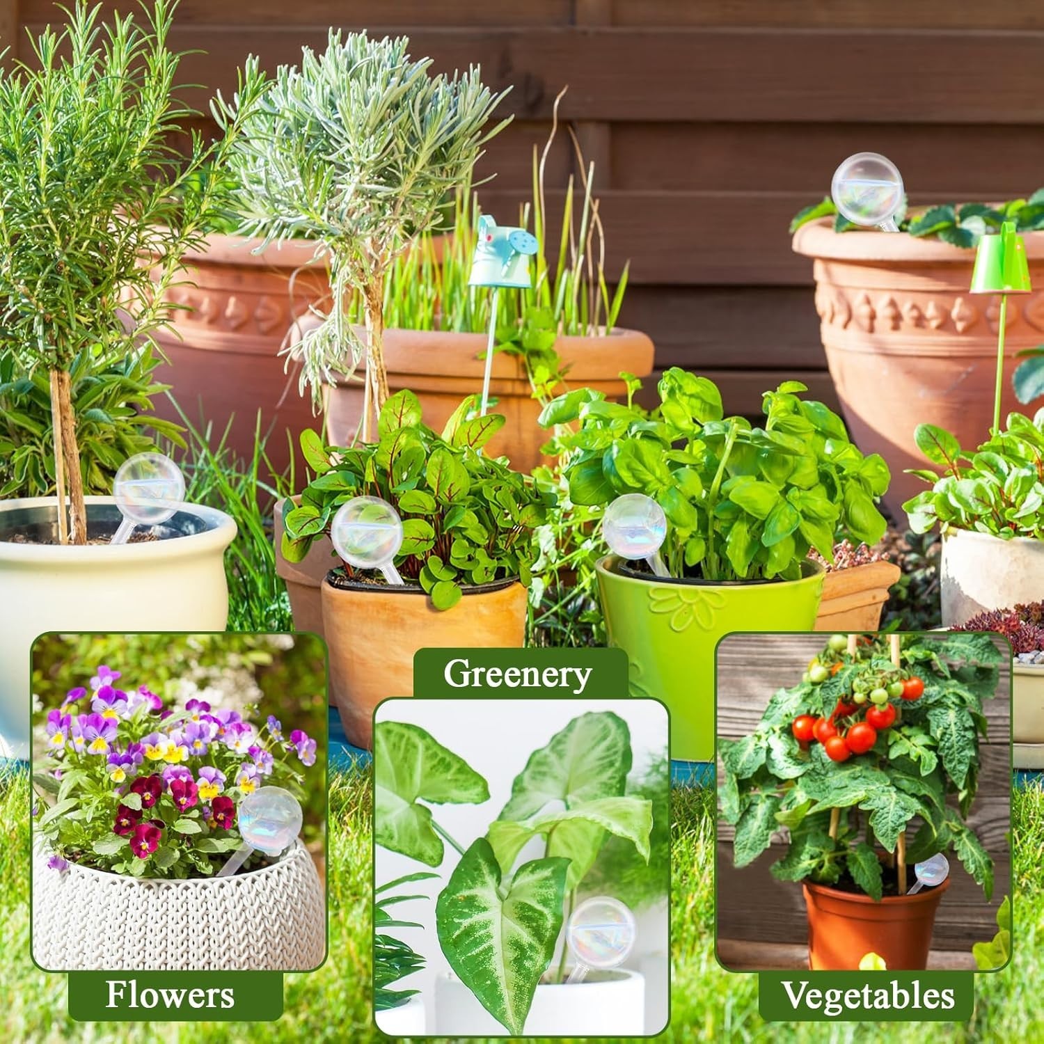 8Pcs Glass Self Watering Globes Rainbow Gradient for Plants