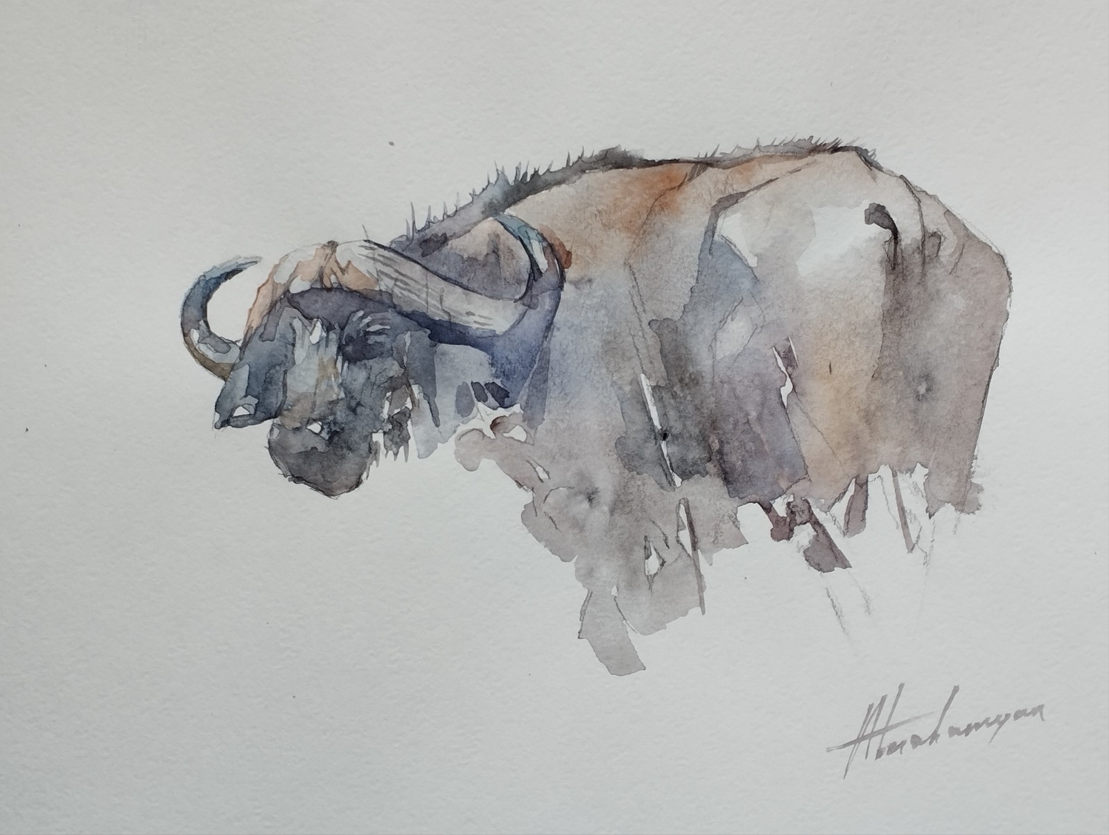 Buffalo, Animal, Watercolor artwork, Handmade, Original painting on paper