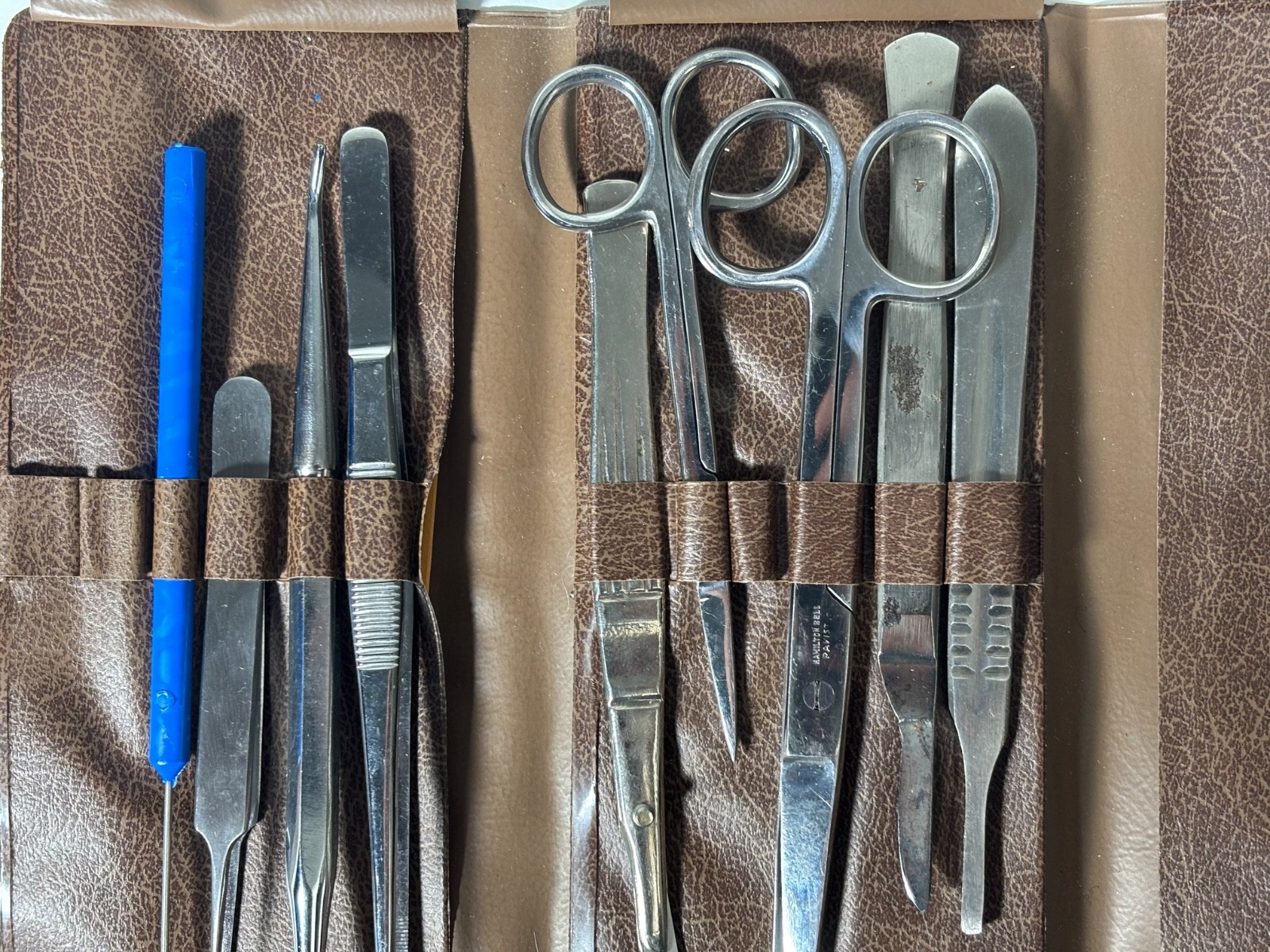 Vintage Dissection/Surgical Kit, Hamilton Bell Scissors, Case