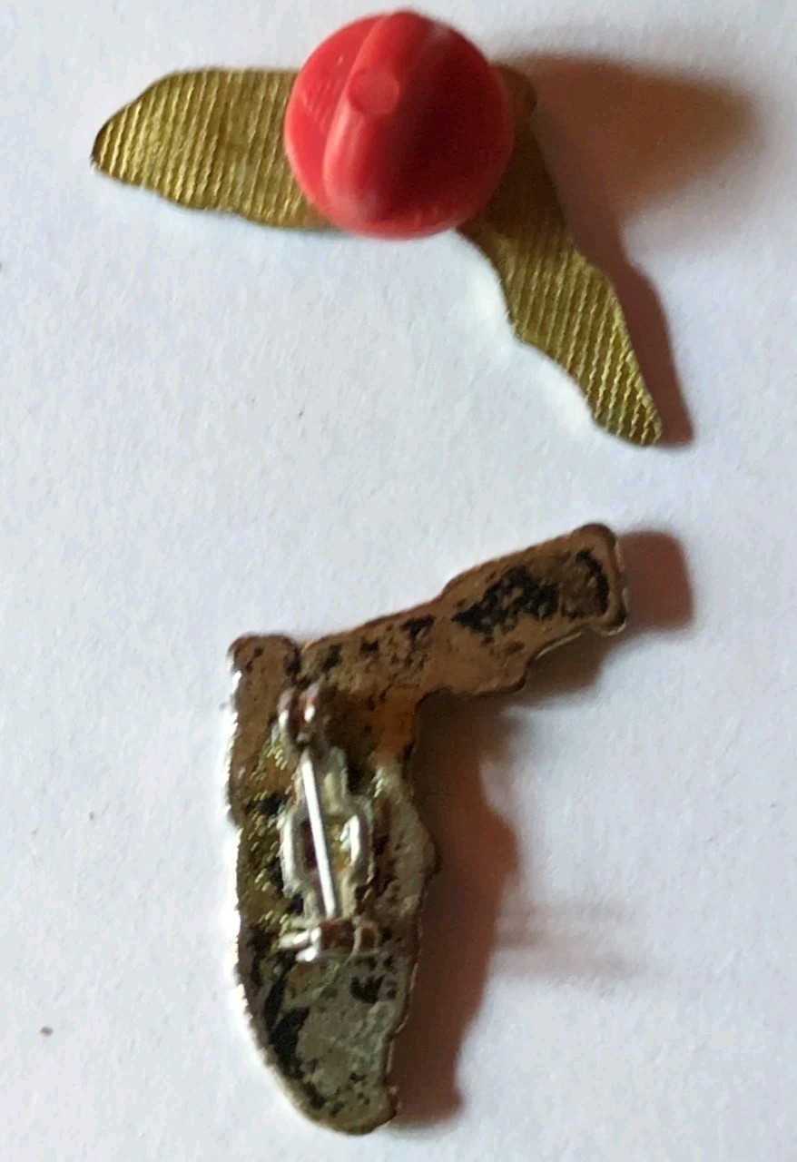 Vtg Florida State Shaped Tourist Travel Souvenir Pins Lot of 2 Enamel Plastic 1"