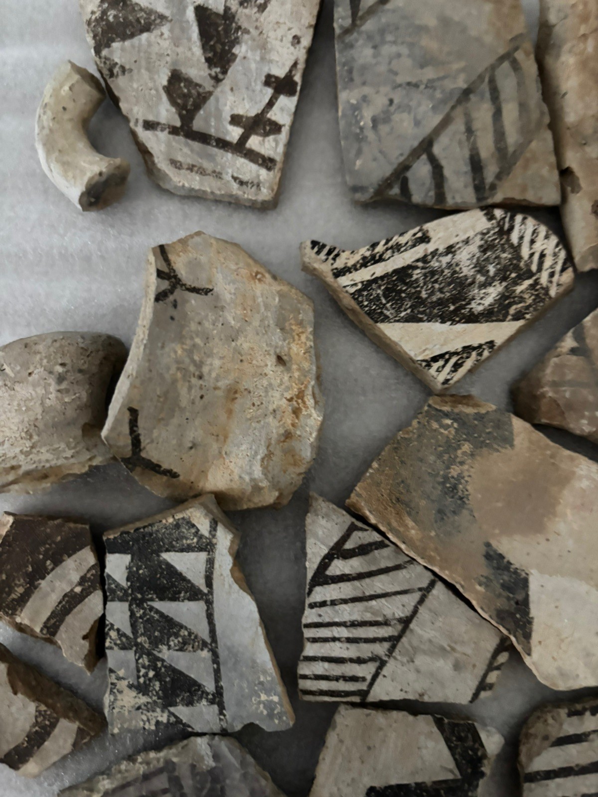 Ancient Anasazi Native American Pottery Shards Arizona L2-E FREE SHIPPING