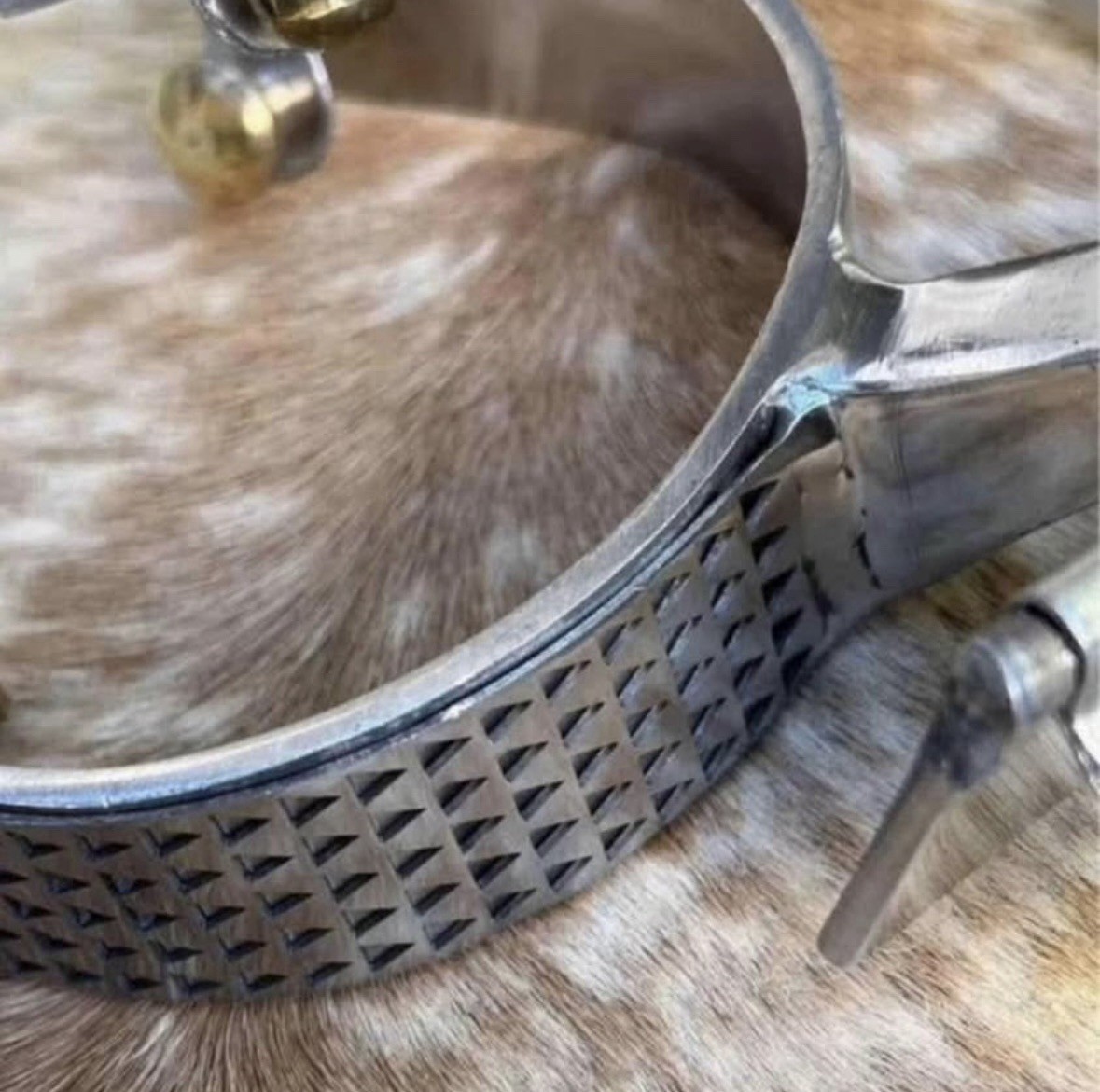 Pair Adult Size Stainless Steel Western Spurs Rasp Design