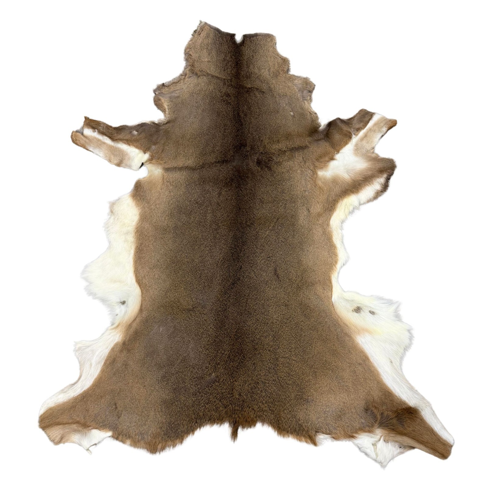 Hair On Deerskin Hide Rug - Tanned Deer Hide with Hair - Grade A to C