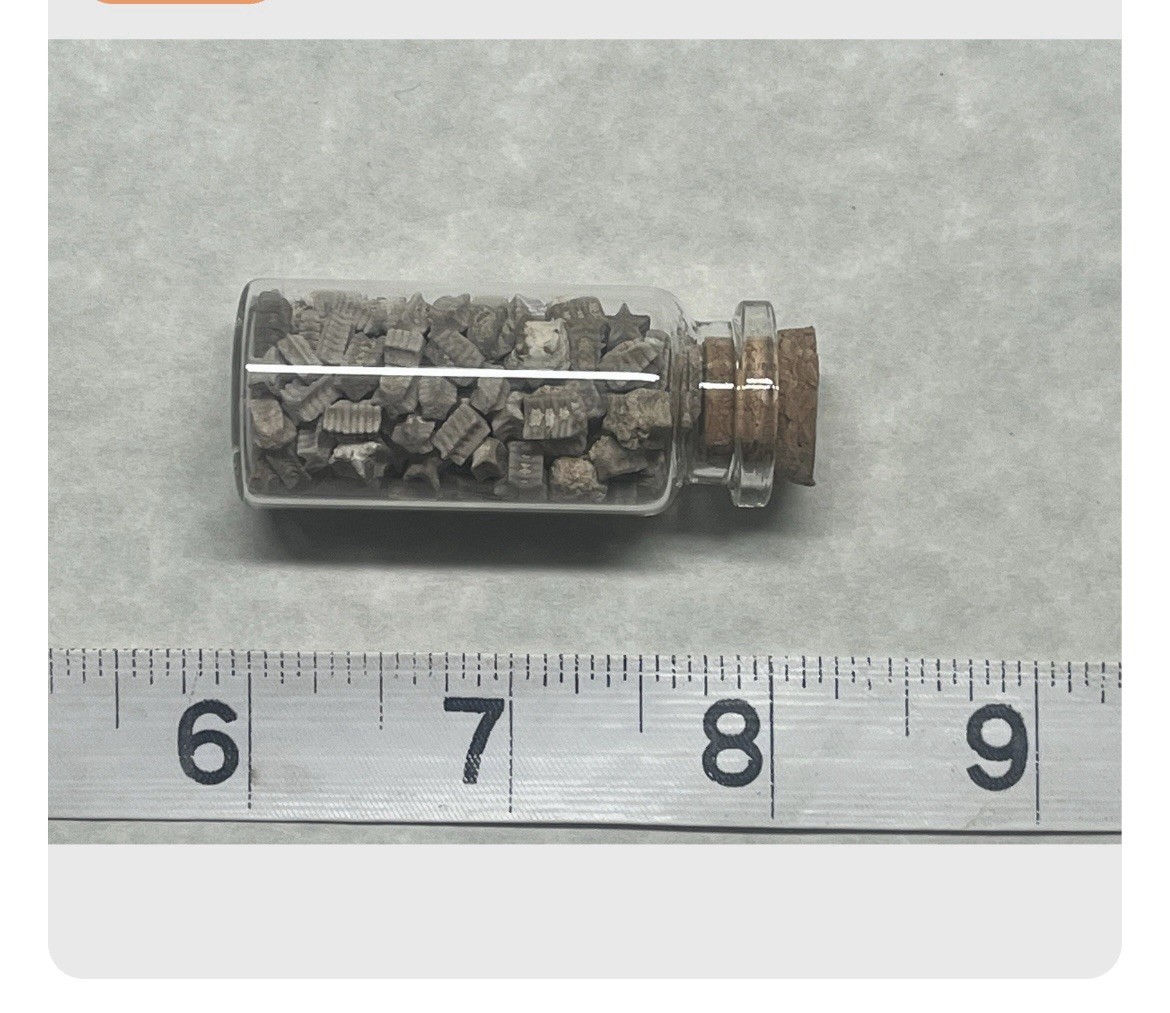 Utah Fossil Star Crinoid Stems Pentacrinus Jurassic Age Echinoderm