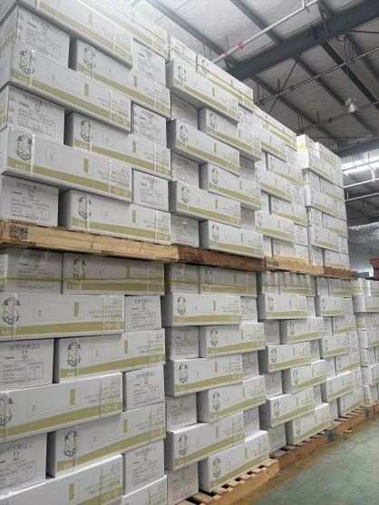 12,000 BTU DUCTLESS MINI SPLIT, 115V, WIFI, 1 TON, HEAT PUMP, K&A IMPERIAL