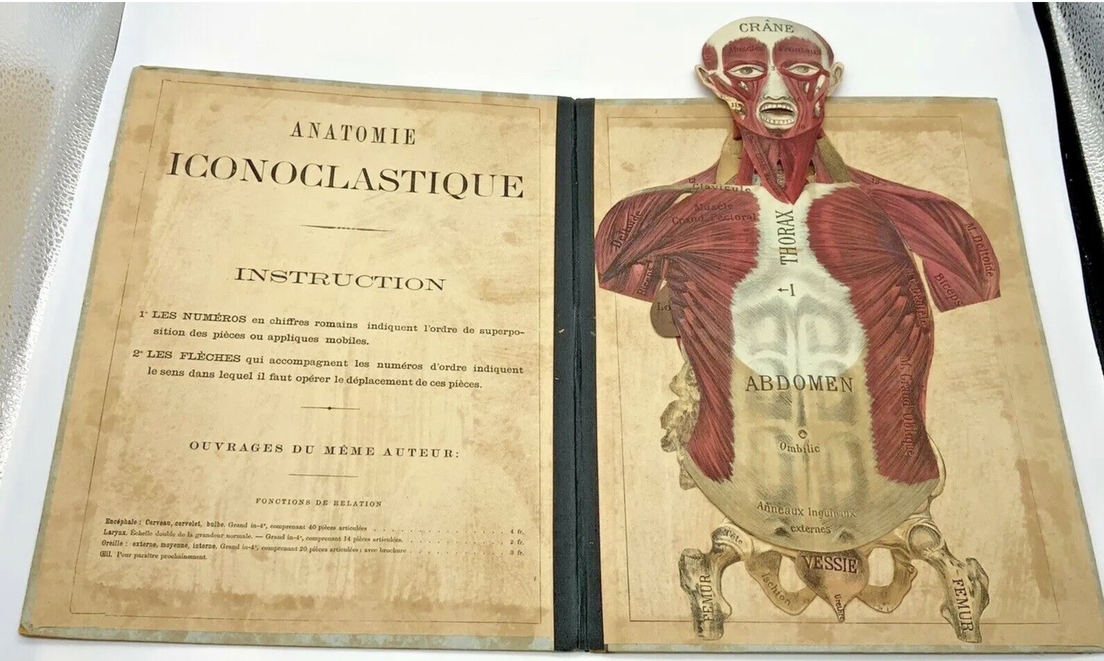 French Medical Human Anatomy Diagram Pop-up Book c 1875, G.J. Witkoski, Rare