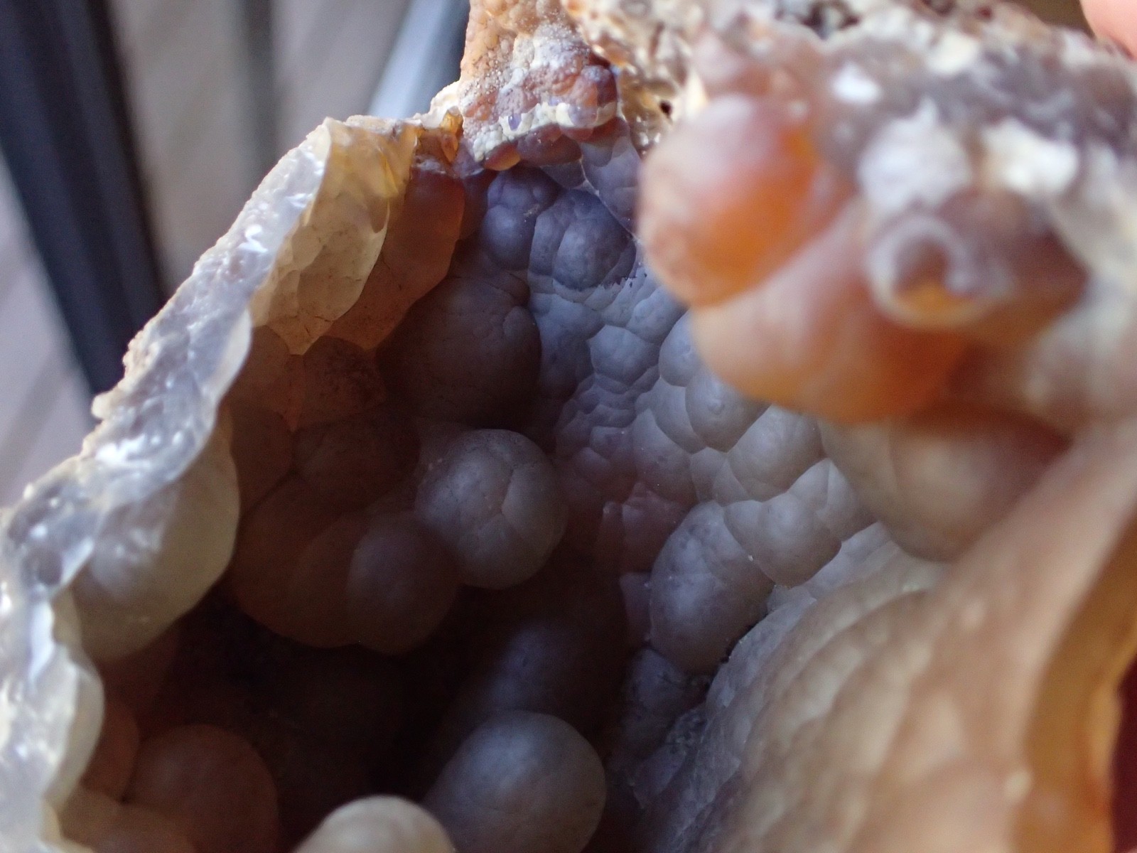 Botryoidal Fossil Coral Geode Fragment GA Agate Ocean Fluorescent Specimen WC8