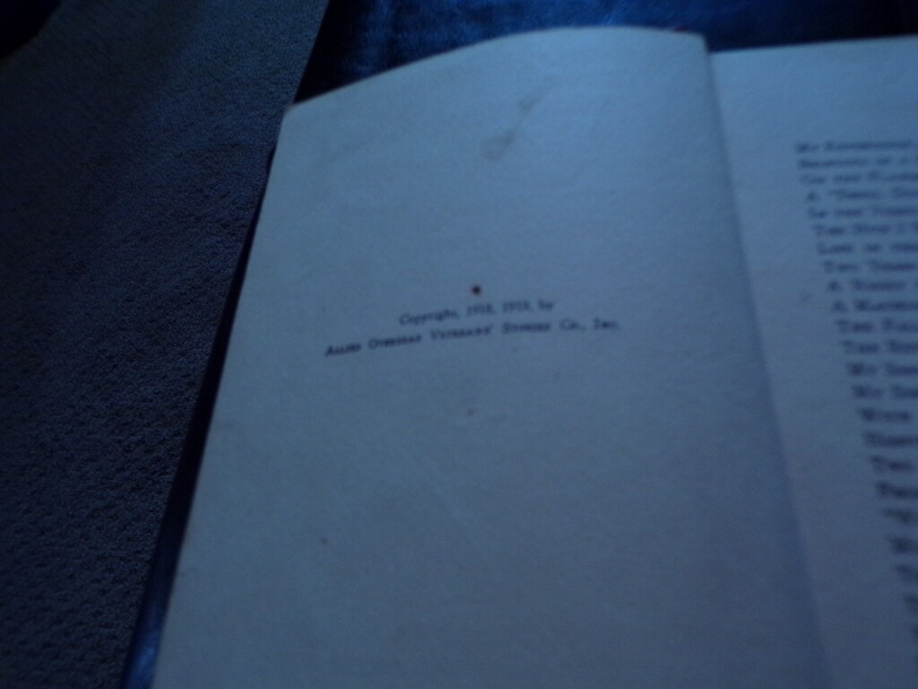 1919 What the "Boys" Did Over There by "Themselves" WWI Allied Overseas Stories