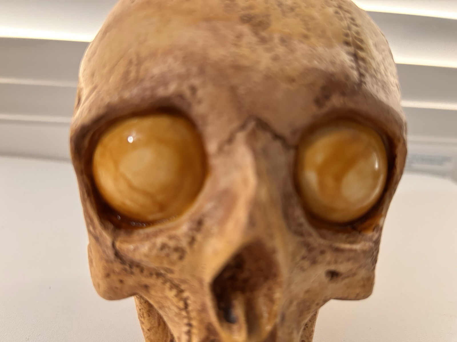 VINTAGE RANDOTTI SAMPLE "GOOGLE YELLOW EYED SKULL" STILL GLOWS IN THE DARK