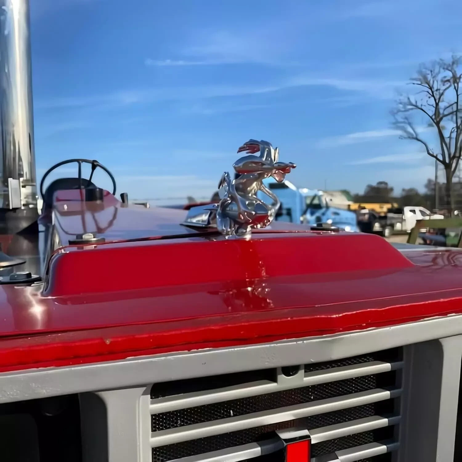 Coyote Trucks Hood Ornament Cartoon Vintage Car Ornaments Inspired by the Classi