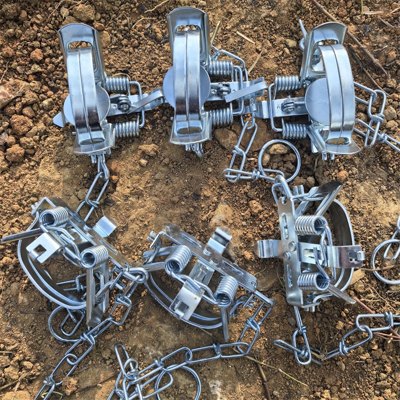 Lot 6 Coil Spring Traps Raccoon Mink Mouse Raccoon Mink Nutria Groundhog Rabbits