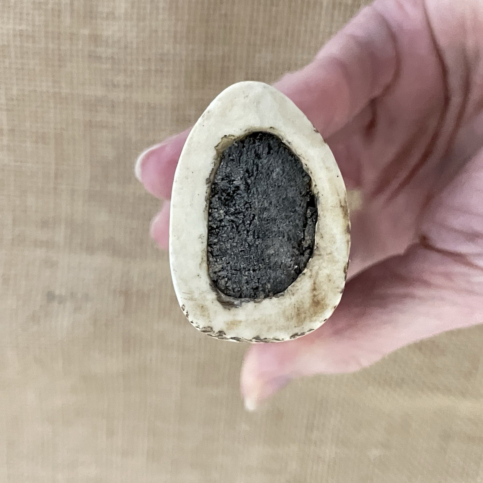 Vintage African Carved Antler Container Snuff Bottle 6.5" x 1.5" Frog Stopper