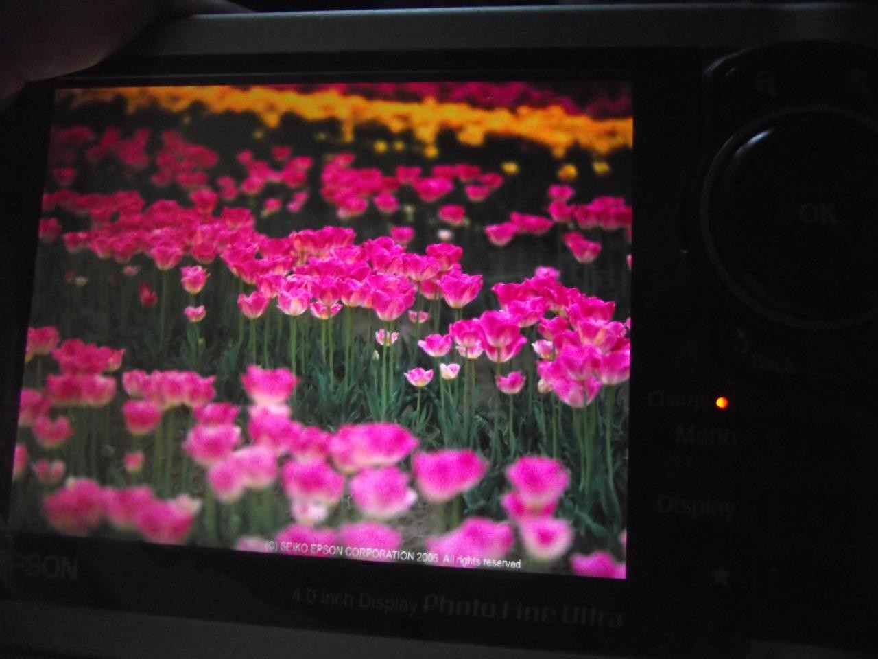 EPSON MULTIMEDIA VIEWER P-3000 PORTABLE STORAGE AND BACK UP