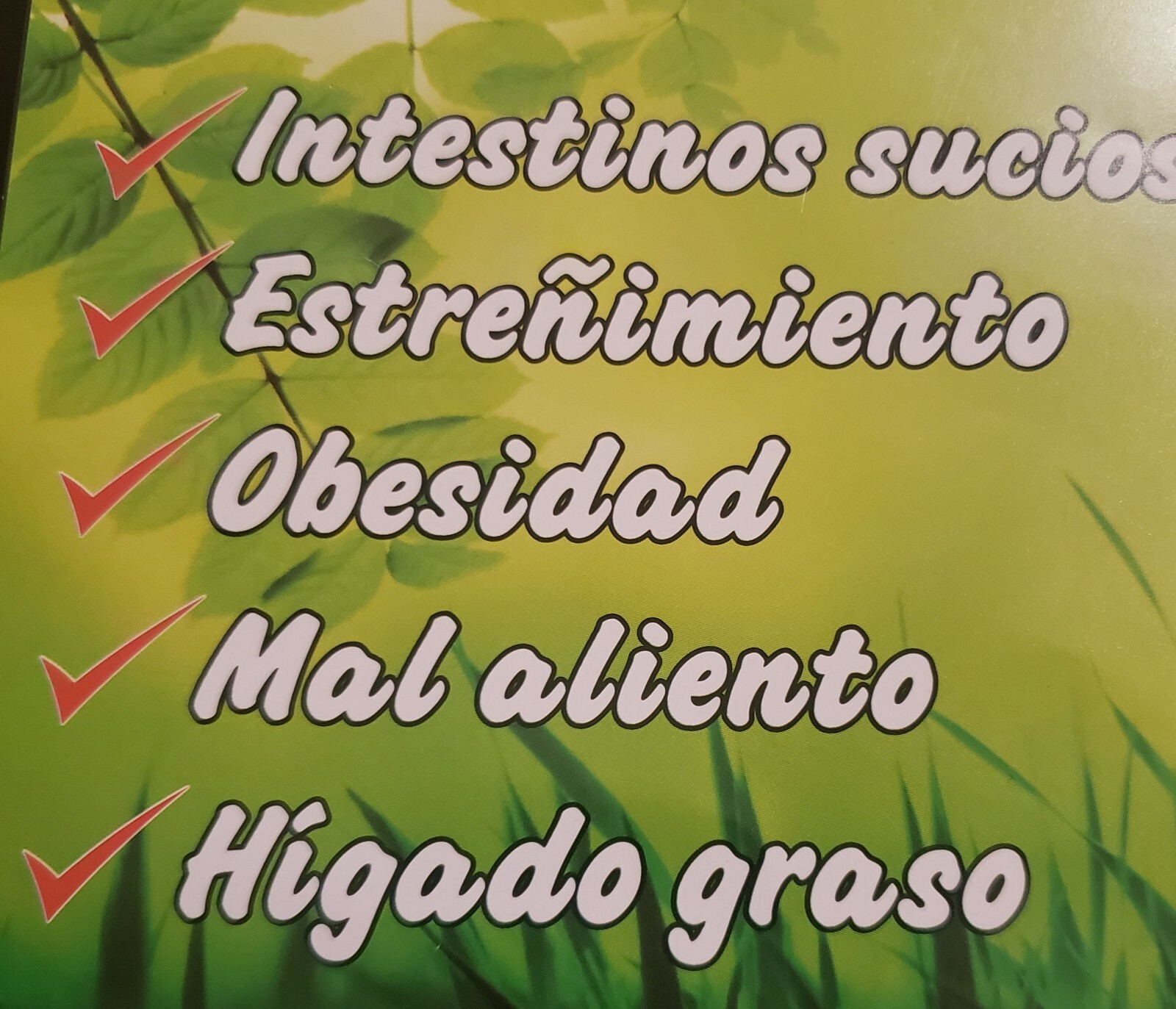 ALCA-DEL LIGHT Capsules Weight Management 60 Caps each-2 PACK